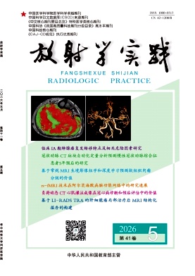 放射学实践封面
